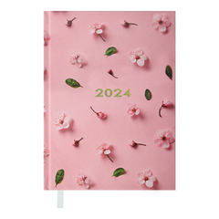 Щоденник датований 2024 PROVENCE, A5, розовий (BM.2161-10)