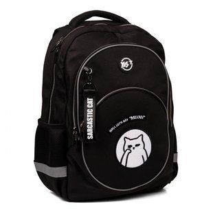 Школьный рюкзак YES TS-58 Sarcastic Cat (559984), комбинированый
