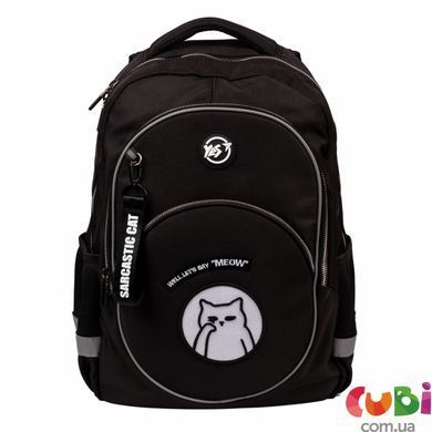 Школьный рюкзак YES TS-58 Sarcastic Cat (559984), комбинированый