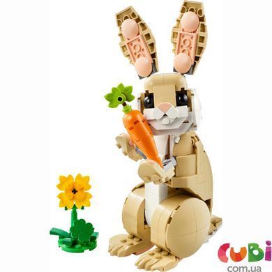 Конструктор Lego Creator Чарівне кроленя (31162), комбінований