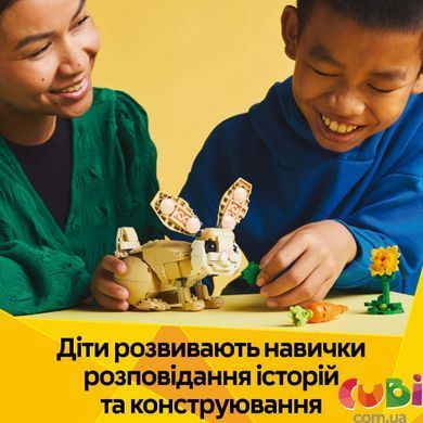 Конструктор Lego Creator Чарівне кроленя (31162), комбінований