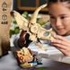 Конструктор Lego Jurassic World Скамʼянілості динозаврів: череп трицератопса (76969), комбінований