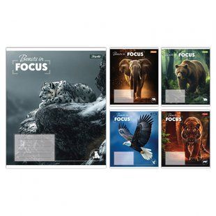 Тетрадь ученическая школьная, А5 60 клетка, 1В Beasts in Focus, 768062