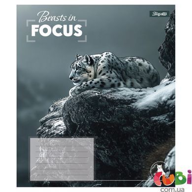 Зошит учнівський шкільний, А5 60 клітинка, 1В Beasts in Focus, 768062