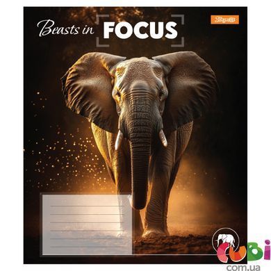 Зошит учнівський шкільний, А5 60 клітинка, 1В Beasts in Focus, 768062