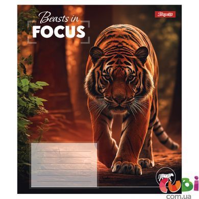 Зошит учнівський шкільний, А5 60 клітинка, 1В Beasts in Focus, 768062