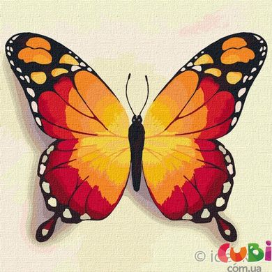 КНО4210 Набор для росписи по номерам. Оранжевый бабочка 25 25см