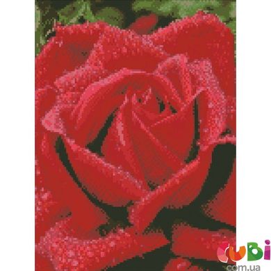 АМ 6100 Набір з алмазною мозаїкою Запашна троянда 30 40см