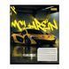 Зошит учнівський 1В Fearleslly forward А5 18 лін. (768671)