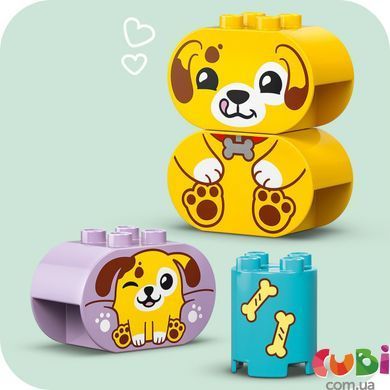 Конструктор Lego DUPLO Сортувальник фігур: будинок для цуценят, 10441, комбінований