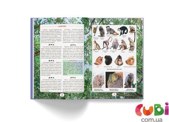 Книга Ви маєте це знати. Світ звірів