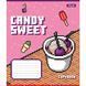 Тетрадь ученическая А5/12 кос. 1B Candy sweet.
