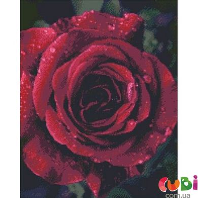 АМ 6019 Набір з алмазною мозаїкою Троянда з краплями роси 40 50см