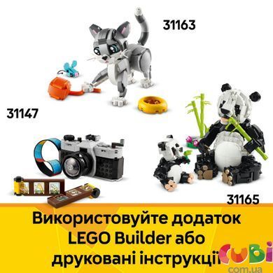 Конструктор Lego Creator Детская печатная машинка с цветами (31169), комбинированый