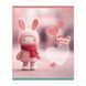 Зошит учнівський 1В Kawaii notebook А5 12 кл. (768737)