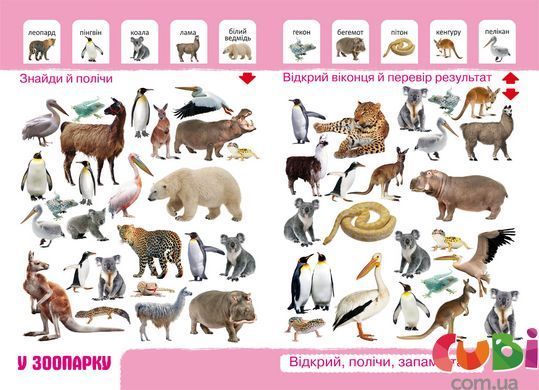 Книга Віммельбух. Світ навколо тебе