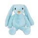 Мягкая игрушка Tigres Зайка Lovely blue (ЗА-0064)
