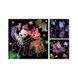 Набор гравюр My Little Pony, 200190