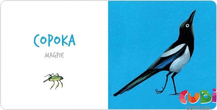 Книга Collect_TheRainbow_Birdst