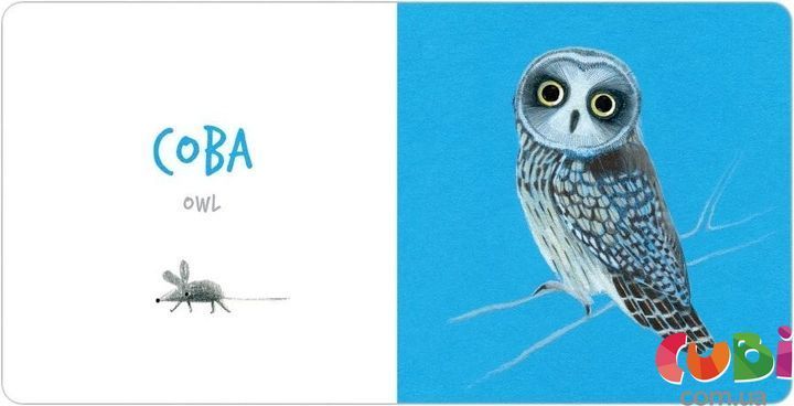 Книга Collect_TheRainbow_Birdst