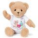М'яка іграшка BABY BORN &ndash; ВЕДМЕДИК ТЕДДІ