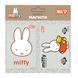 Магниты Yes "Miffy", 6х9 см, 2 шт 2 (708567)