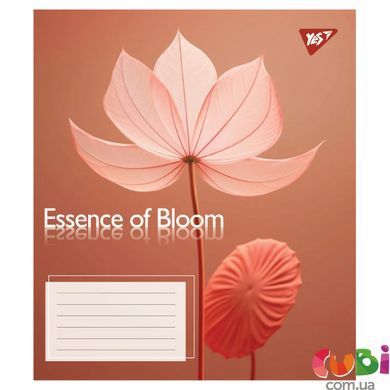 Зошит учнівський шкільний, А5 96 лінія, Yes Essence of Bloom, 767726