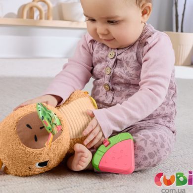 Развивающая игрушка Капибара Fisher-Price (HYR54 )