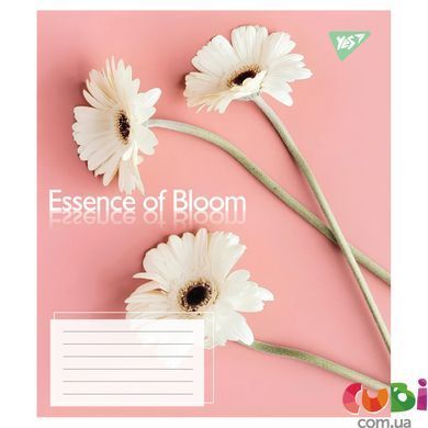 Зошит учнівський шкільний, А5 96 лінія, Yes Essence of Bloom, 767726