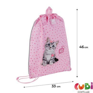 Шкільний набір Kite Education Studio Pets SET_SP25-555S-1 (рюкзак, пенал, сумка)