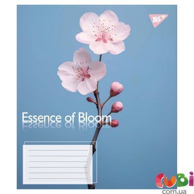 Зошит учнівський шкільний, А5 96 лінія, Yes Essence of Bloom, 767726