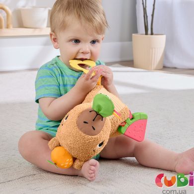 Развивающая игрушка Капибара Fisher-Price (HYR54 )