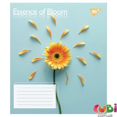 Зошит учнівський шкільний, А5 96 лінія, Yes Essence of Bloom, 767726