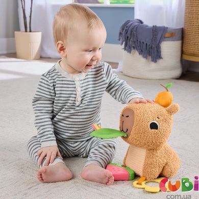 Развивающая игрушка Капибара Fisher-Price (HYR54 )