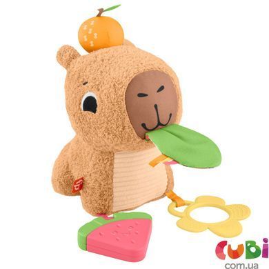 Развивающая игрушка Капибара Fisher-Price (HYR54 )