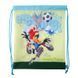 Сумка для взуття Looney Tunes 23x39 см, комбінований