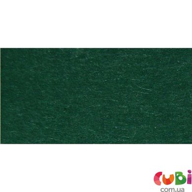 Папір для дизайну Tintedpaper А4 (21 29,7см), №58 хвойно-зелений, 130г м, без текстури, Folia (16826458)
