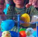 Іграшка, що зростає, в яйці «Eggy Animals» - ПТАШКИ (у дисплеї)