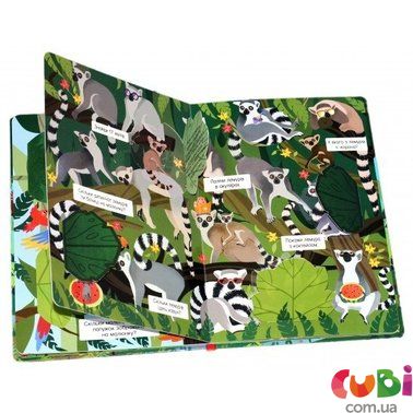 Книга Книга-картонка Первый иммельбух с окошками В джунглях
