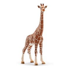 Іграшка-фігурка Schleich Жирафа самка (14750)