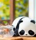 Колекційна фігурка POP TOP 52Toys серії "Panda Roll" - МЯВ ПАНДИ