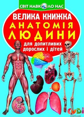 Книга Велика книжка. Анатомія людини - Зав'язкін О.