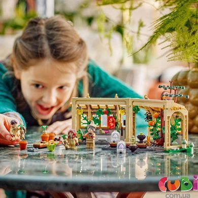 Конструктор Lego Harry Potter Замок Гогвортс: урок гербології, 76445, комбінований