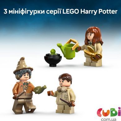 Конструктор Lego Harry Potter Замок Гогвортс: урок гербології, 76445, комбінований