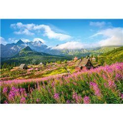 C-104512 Пазли Castorland 1000