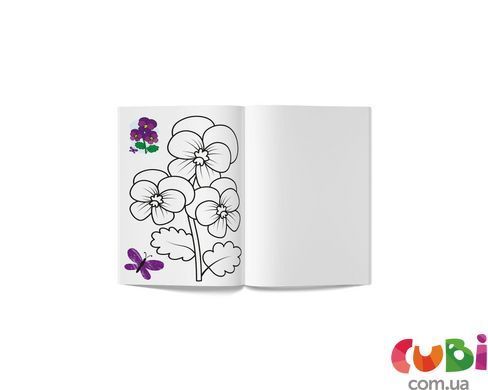 Книга Кольорованка. Кольори