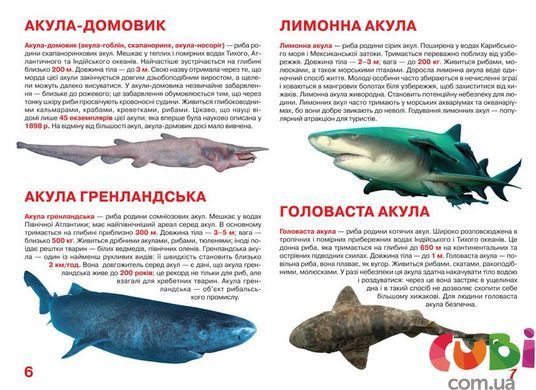 Книга Велика книжка Акули