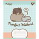 767610 А5 18 кл. Yes Pusheen Weekend, зошит учнівський шкільний