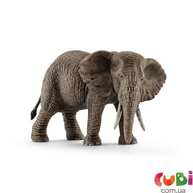 Іграшка-фігурка Schleich Африканська слониха (14761)
