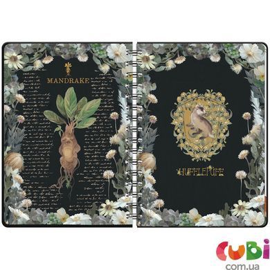 Щоденник на спіралі Kite Harry Potter HP23-438, тверда обкладинка